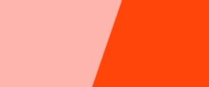 Wetail Medium - Kvartal